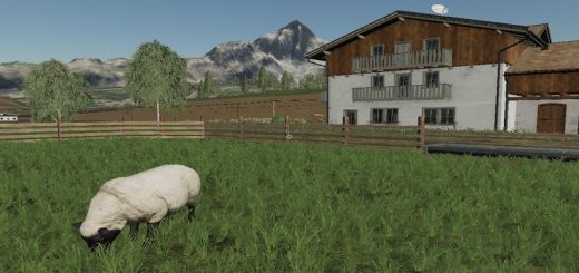 QUICKCAMERA V2.1.0.9 - FS19 mod 