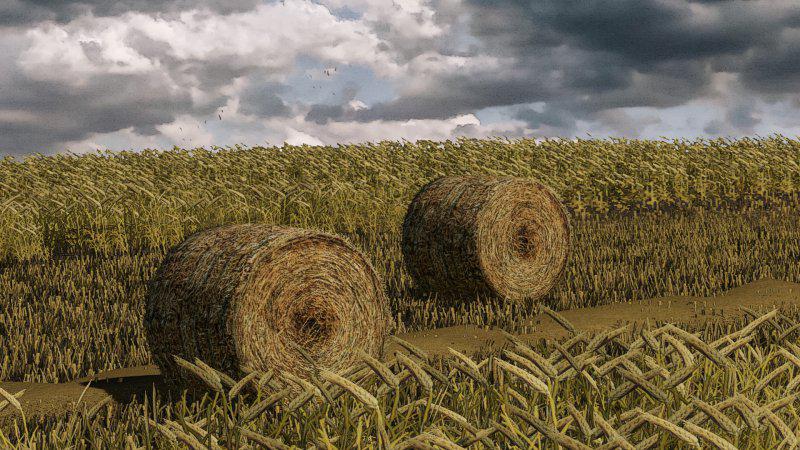 Wheat – Barley – Windrow – Bales – Animations v1.0 Mod