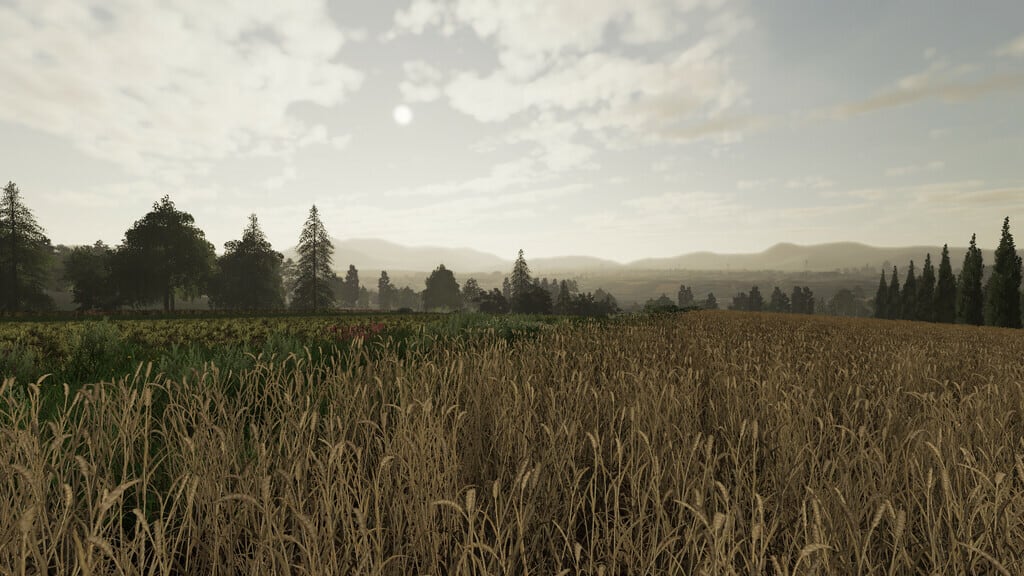 Skrzyszów 1.2.0.0 Mod thumbnail 4