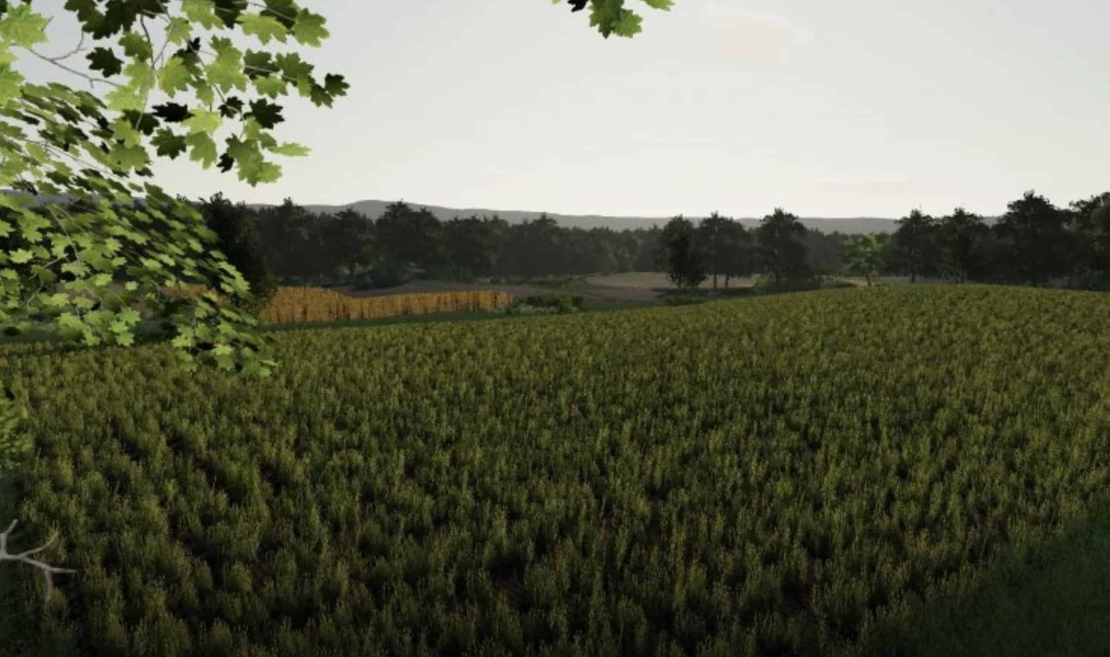 STRĄCZKOWO Map v1.0.0.0 Mod thumbnail 3